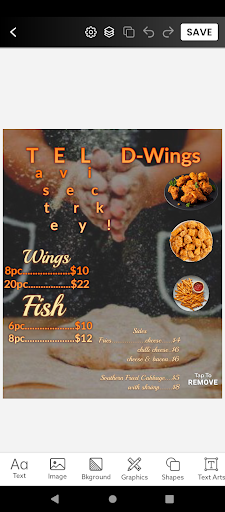 TEL D WINGS - Visual