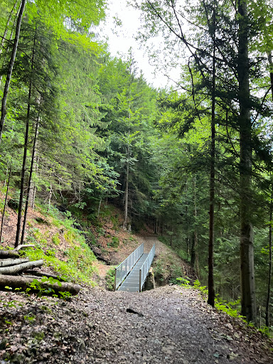 Bockerlbahn Weg - Visual