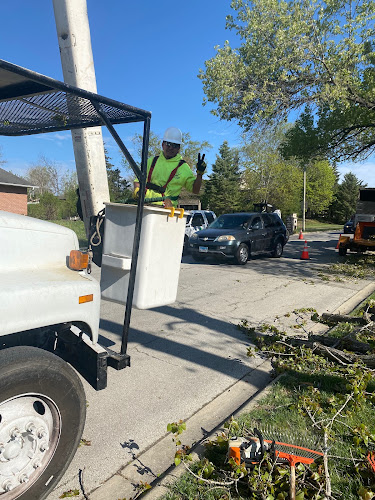 Buddy's Tree Service