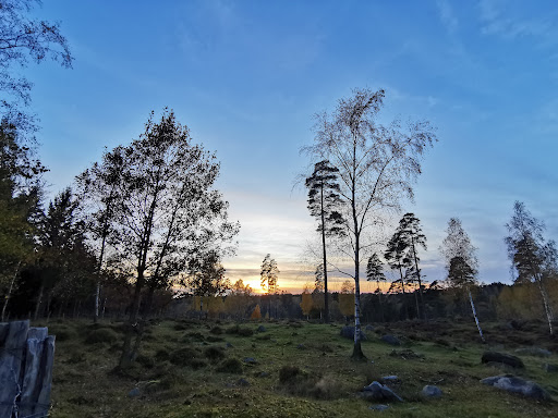 Mästocka ljunghed - Thumbnail