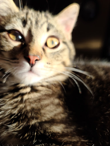 Prairie East Veterinary Clinic - Thumbnail