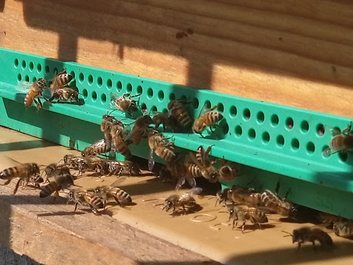 Photo de Maison de Retraite La Roseraie