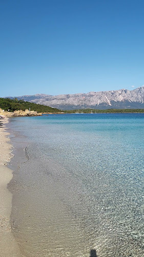 Αριθμός τηλεφώνου Βαθυαβάλη