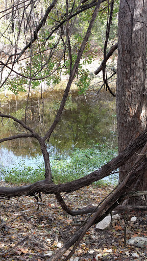 Mount Lakeway Trailhead - Thumbnail