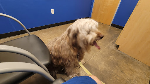 Premier Vet Care Animal Clinic - Thumbnail