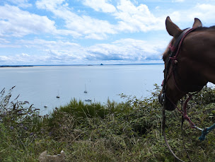 Photo n°12 de le riage à Genêts (Centre de randonnée équestre)