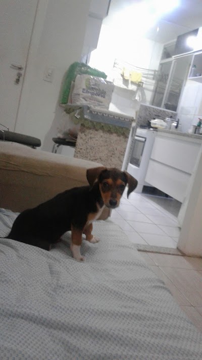 Photos of Veterinary Clinic St. Francisco de Assis