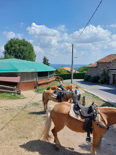 Agri Camelot Maneggio - Thumbnail