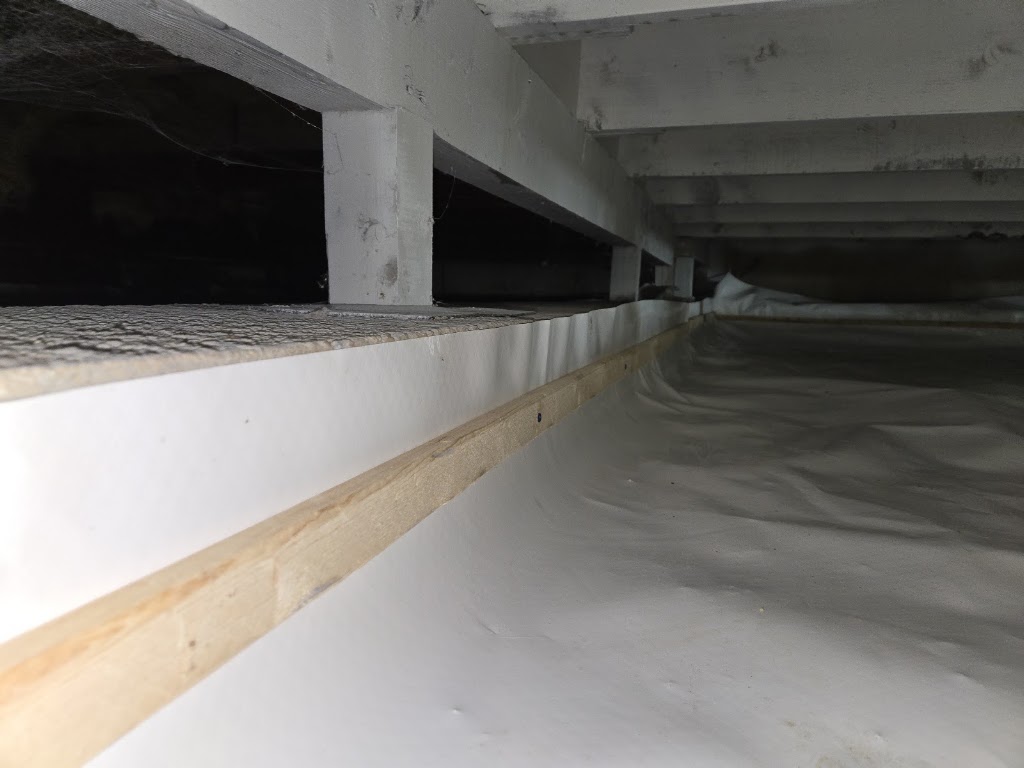 HOMETEC mold removal photo