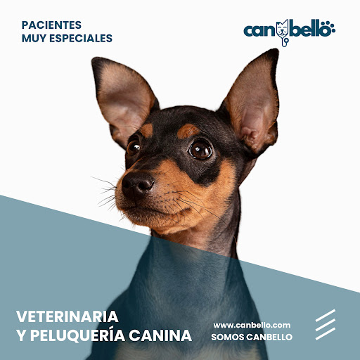 Clínica Veterinaria | Can bello | Peluquería Canina y Felina