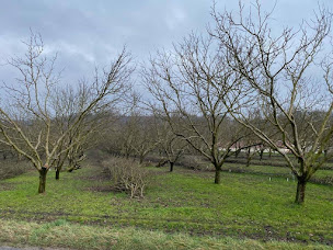 Photo n°3 de Vivanoix à Saint-Lattier (Ferme bio)