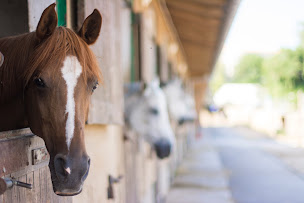 Photo n°5 de CENTRE EQUESTRE MARSEILLE PASTRE - UCPA à Marseille (Centre équestre)