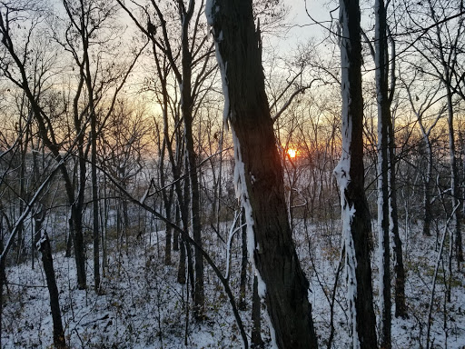 Marseilles State Fish and Wildlife Area