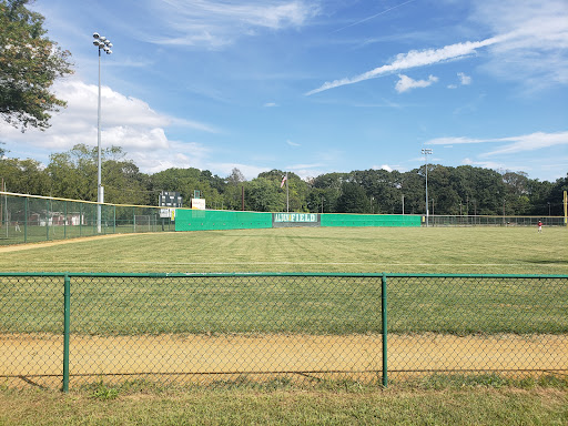 Alden Field - Visual
