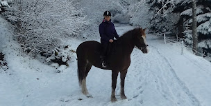 Photo n°28 de Chèvrerie Le Cabriolait à Mollau (Ferme)