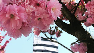 Photo n°31 de Domaine Du Roc à Val d'Oust (Terrain pour camping-cars)