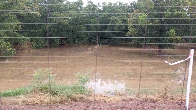 Photos of Koedoeskop
