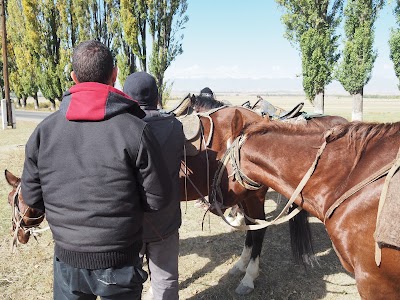 Photos of Altyn-Arashan