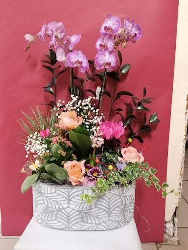 FLEURS BEUZE - Thumbnail