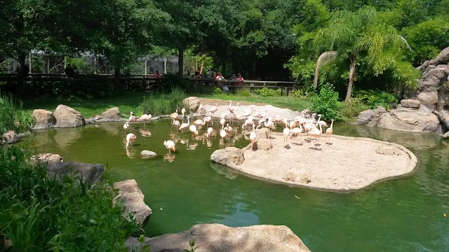 The Houston Zoo