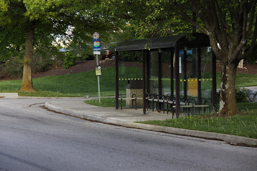 Laurel/Sycamore - Visual