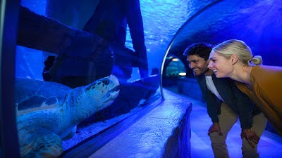 SEA LIFE at Mall of America