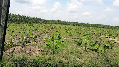 Photos of Nabusimake