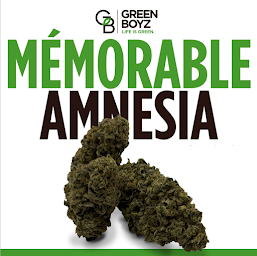 Photo n°15 de GREENBOYZ CORNER à Maisons-Alfort (Boutique d'herbes médicinales)