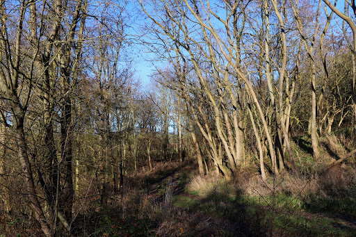 Steinfurther Teiche - Thumbnail