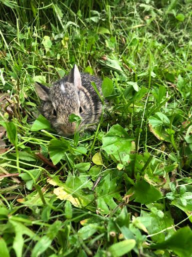 Liberty Creek Wildlife Area - Thumbnail