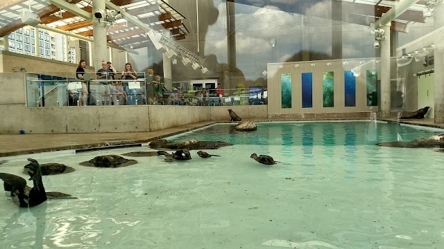 New England Aquarium