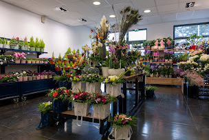 Photo n°12 de Monceau Fleurs à Saint-Malo (Boutique d'articles de mariage)