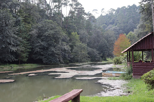 CAMPESTRE LAS TRUCHAS - Thumbnail