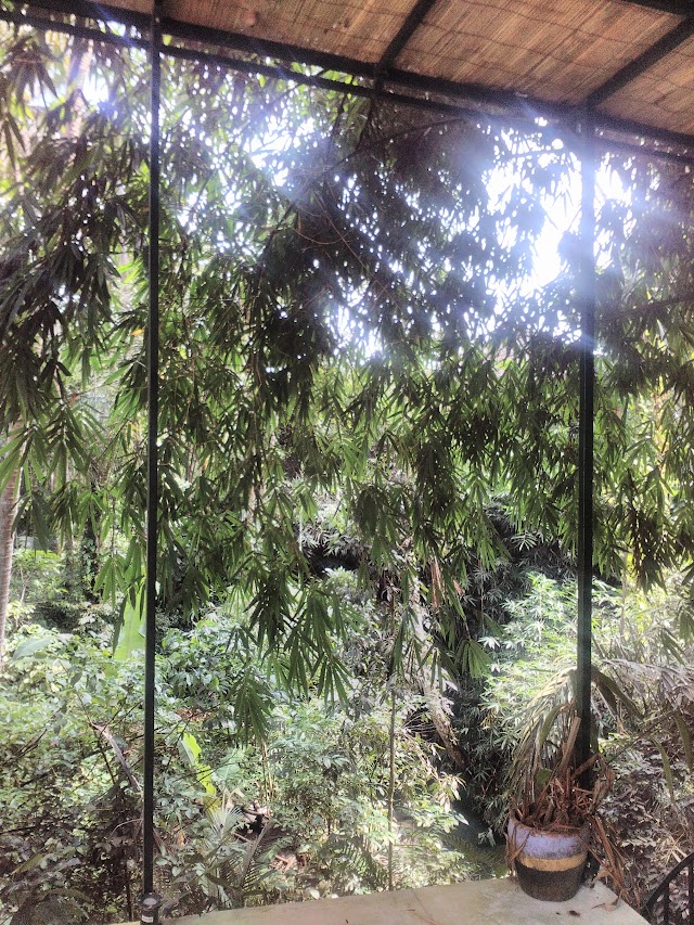 AIR Ubud | Artist Inn Residency