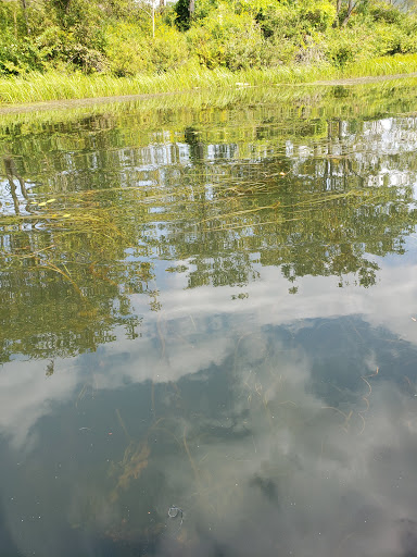 Orford Boat Launch