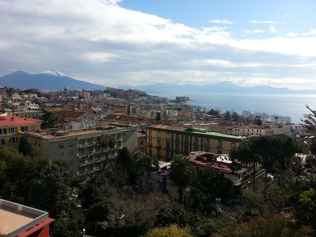 The Britannique Naples, Curio Collection by Hilton