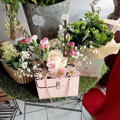 Cathy'lys - Visual