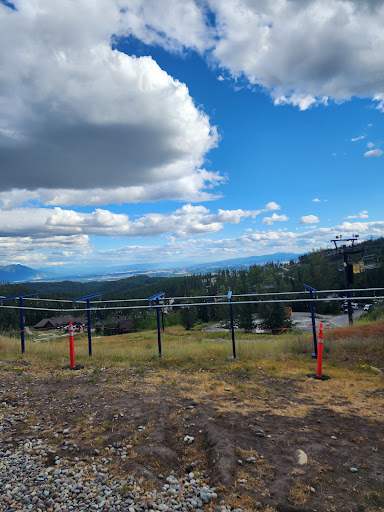 Alpine Slide - Thumbnail