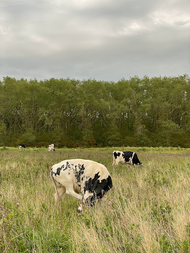 Urkerveld - Visual