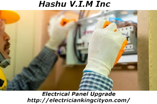Hashu V.I.M Inc - Visual