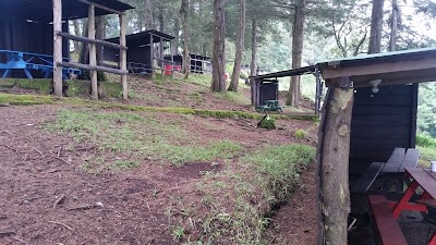 Photos of Fraijanes forests