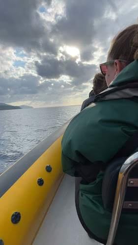 Azores Whale Watching TERRA AZUL - Agência de viagens