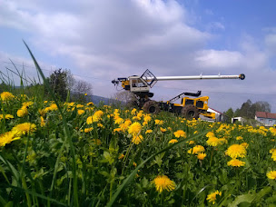 Photo n°2 de G.R.D.E. ELAGAGE ET TRAVAUX FORESTIERS à Échirolles (Service d'élagage)