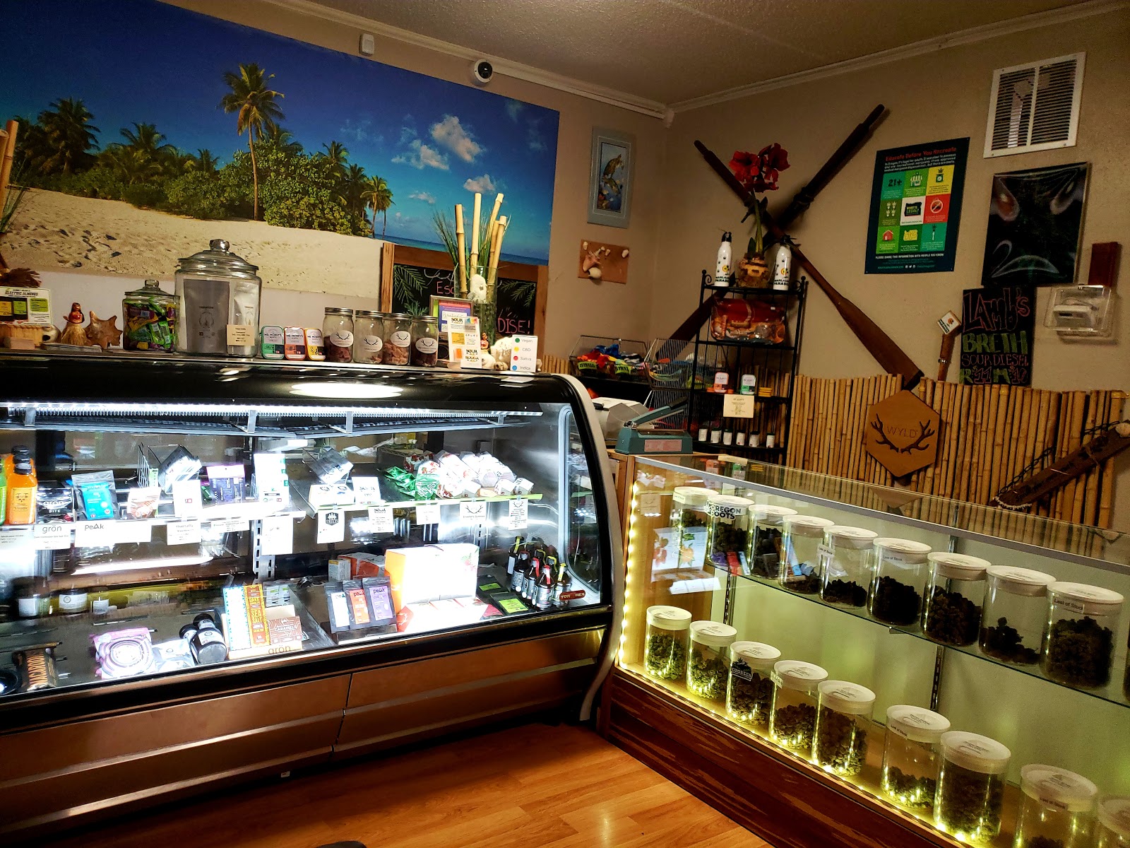 Marijuana Paradise in Portland, Oregon