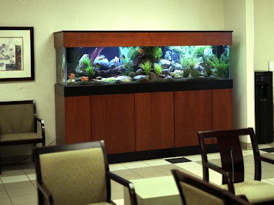 Affordable Aquarium Service