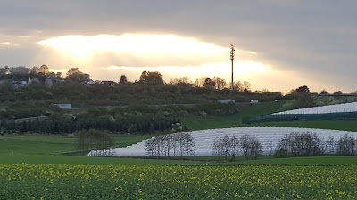 Photos of Ponyreiten Siebengebirge