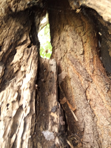 Layer park - Visual