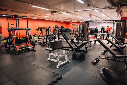 Imagen de la galería