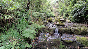 Photo n°12 de Scotto Jocelyne à Montpellier (Service d'épilation à la cire)