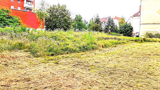 Blühwiese/Belüftungsschneise - Thumbnail